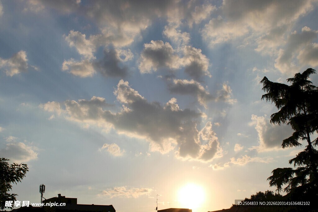 夕阳下的天空与树木