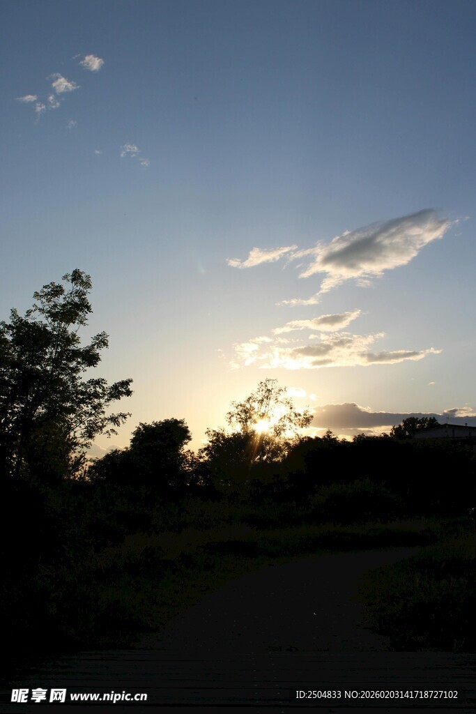 夕阳下的林间小道