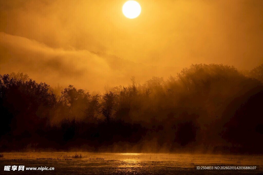 日出山林间的朦胧美景