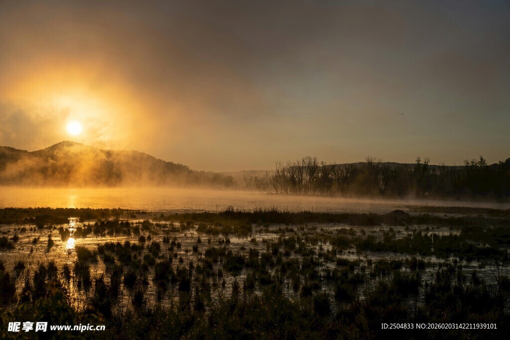 日出映照湿地美景