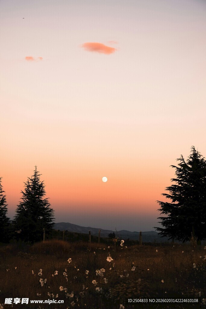 日落时分的静谧山林景色