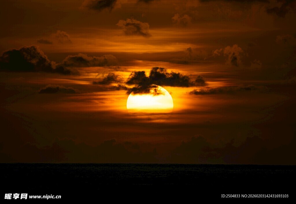 夕阳西下飞鸟剪影