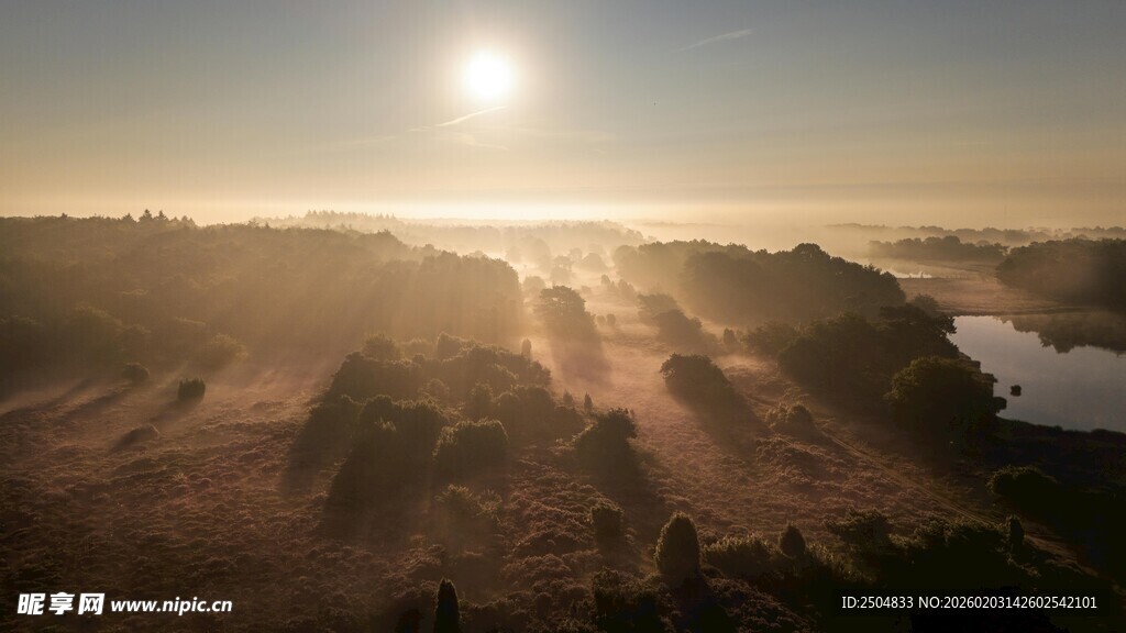日出时分的广袤田野风光