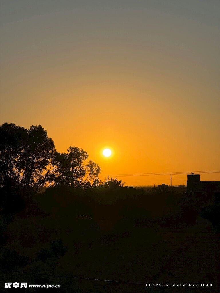 日落时分的田野风光