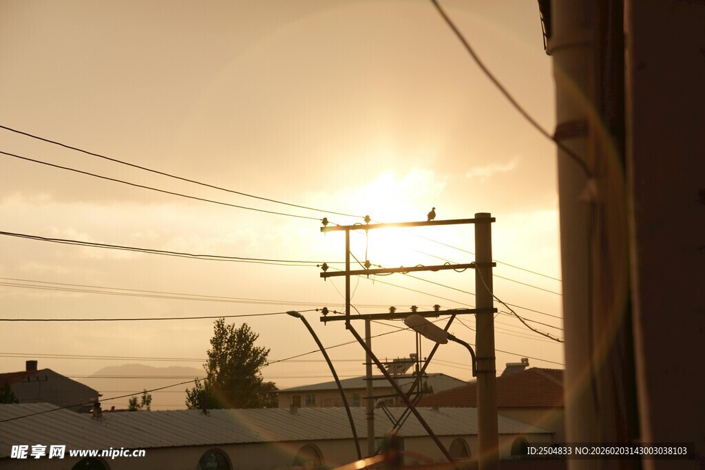 夕阳下的电线杆与电线