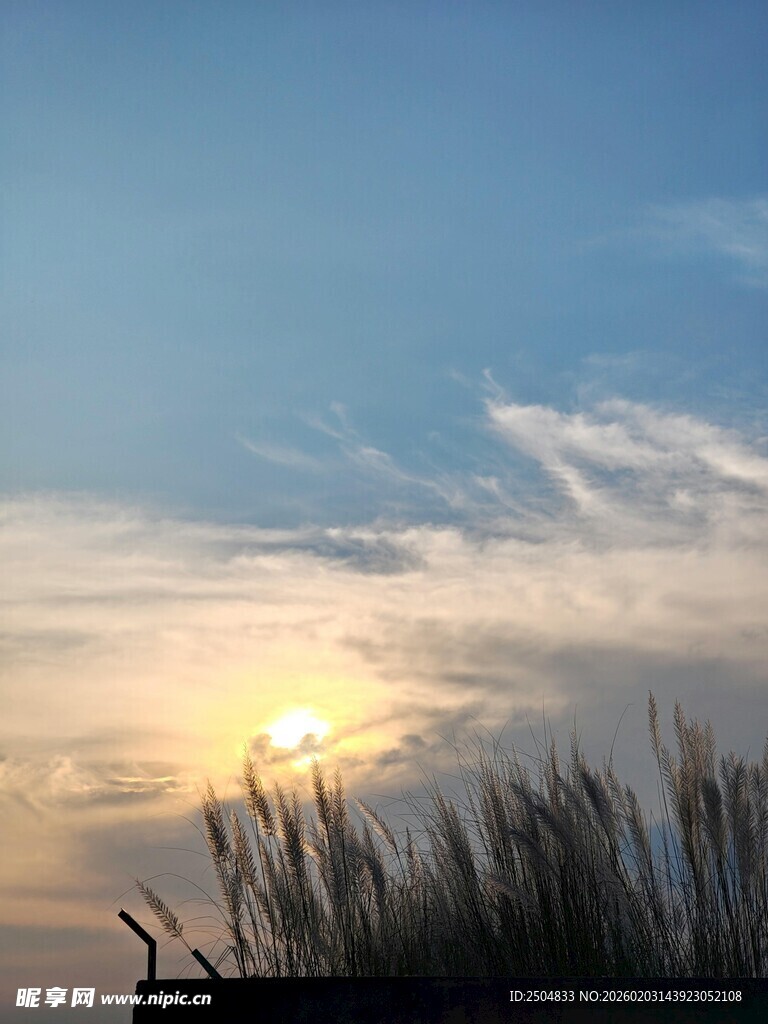 夕阳下的芦苇与海中剪影
