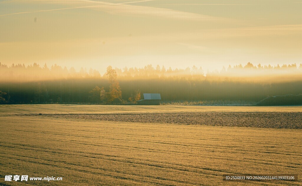 金色田野上的日出美景