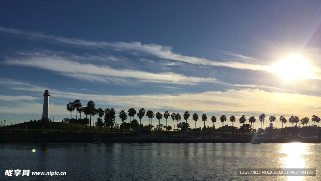 夕阳下的湖畔棕榈树美景