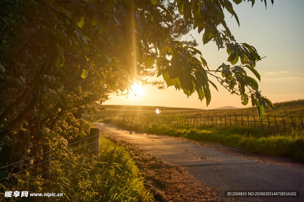 夕阳下的林间小路