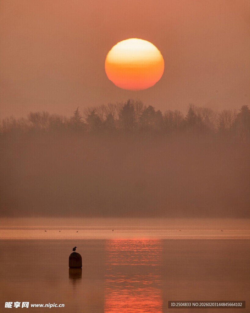 湖畔落日独行者