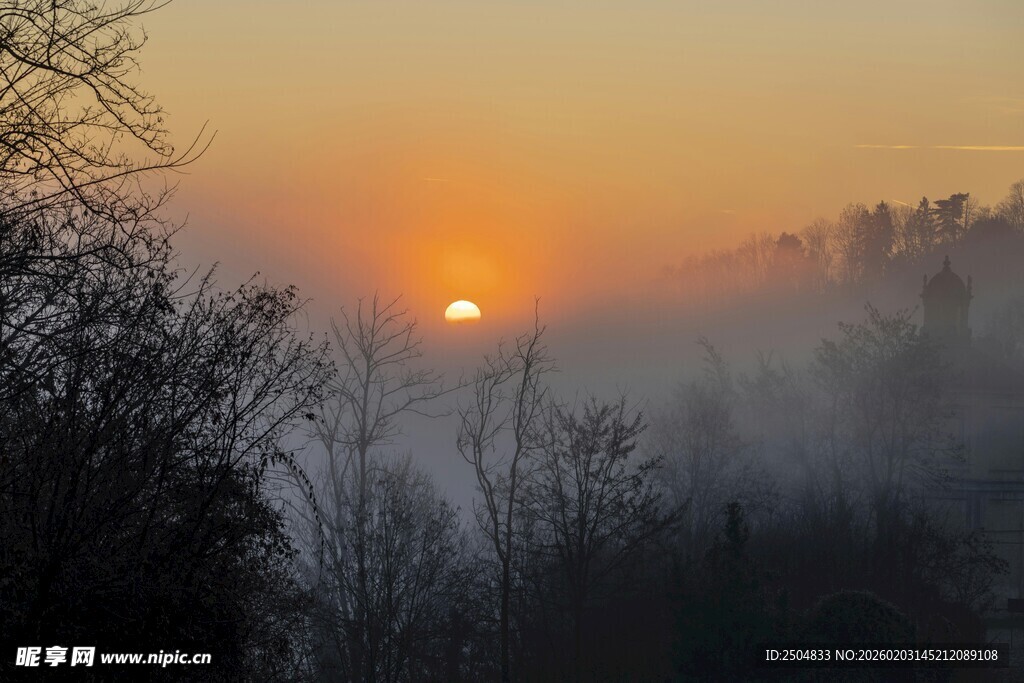 日出山林间的朦胧美景