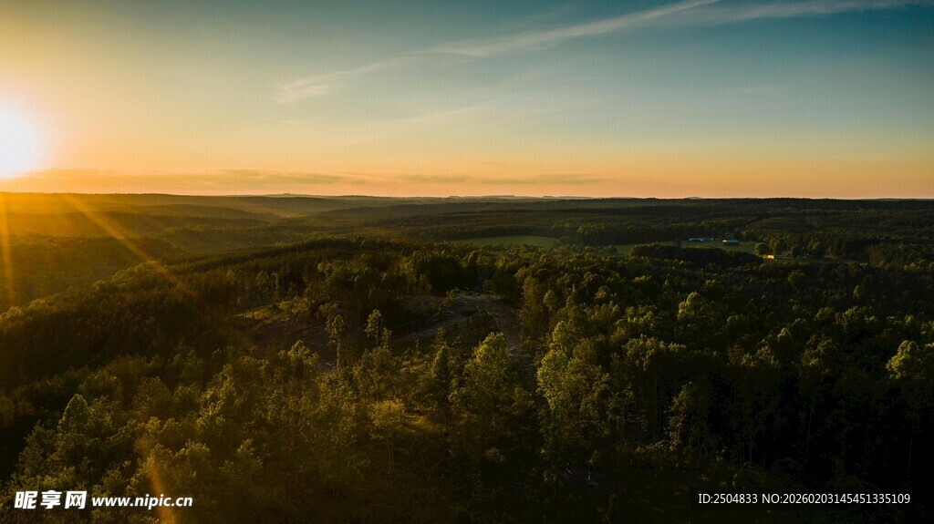 日落时分的森林全景