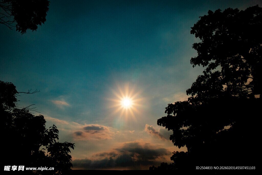 日出时分林间美景