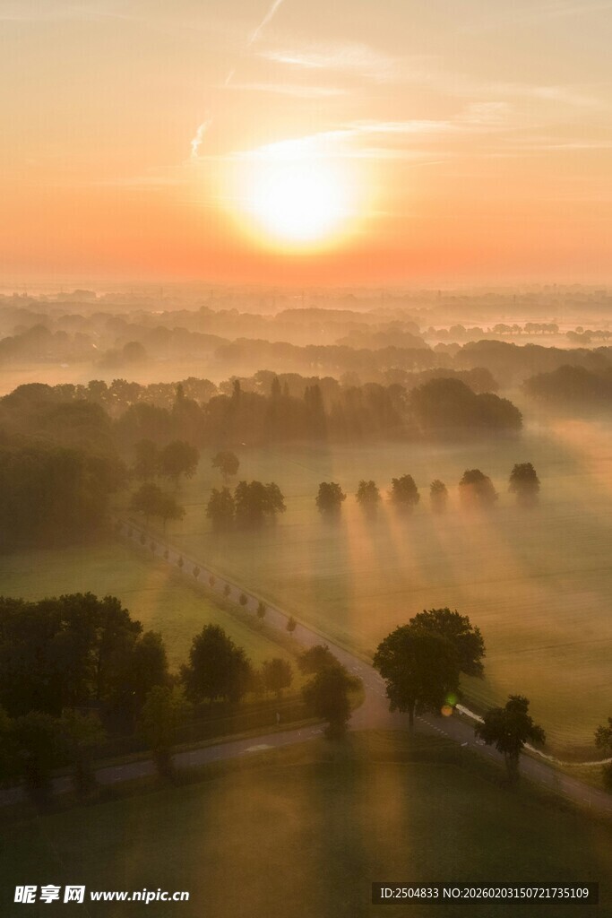 日出时分的雾中乡村美景