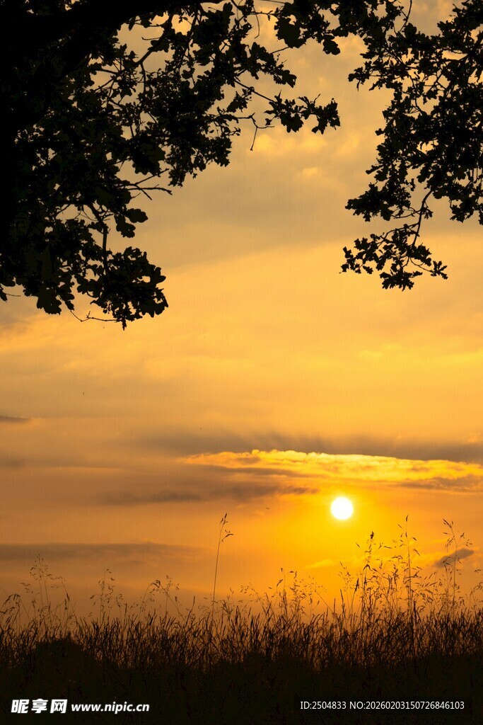 夕阳下的湖畔美景
