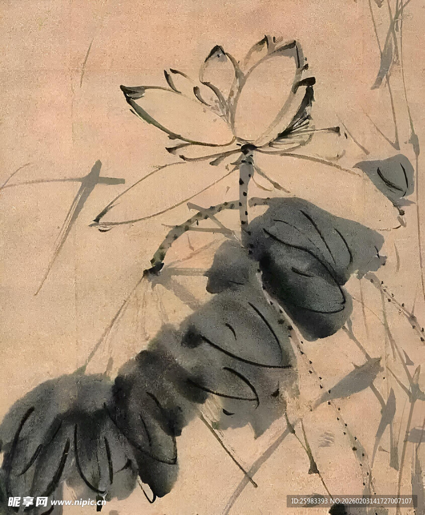 水墨荷花图