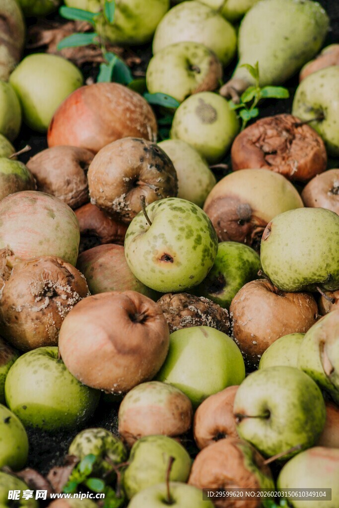 一堆新鲜多样的水果