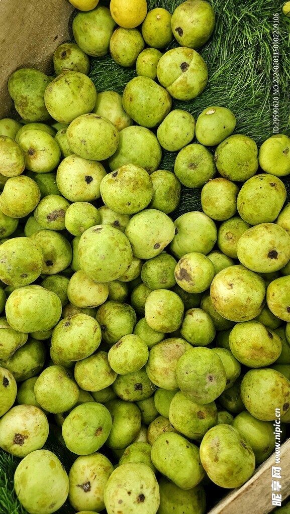 新鲜青皮番石榴堆成小山
