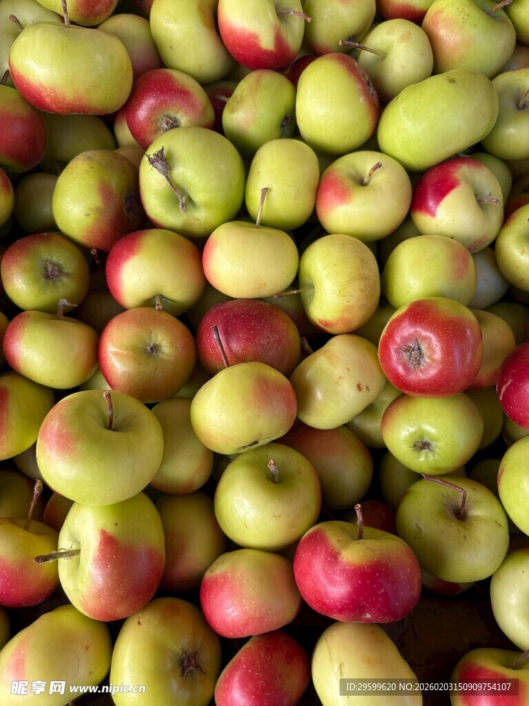 一堆色泽鲜艳的大小苹果