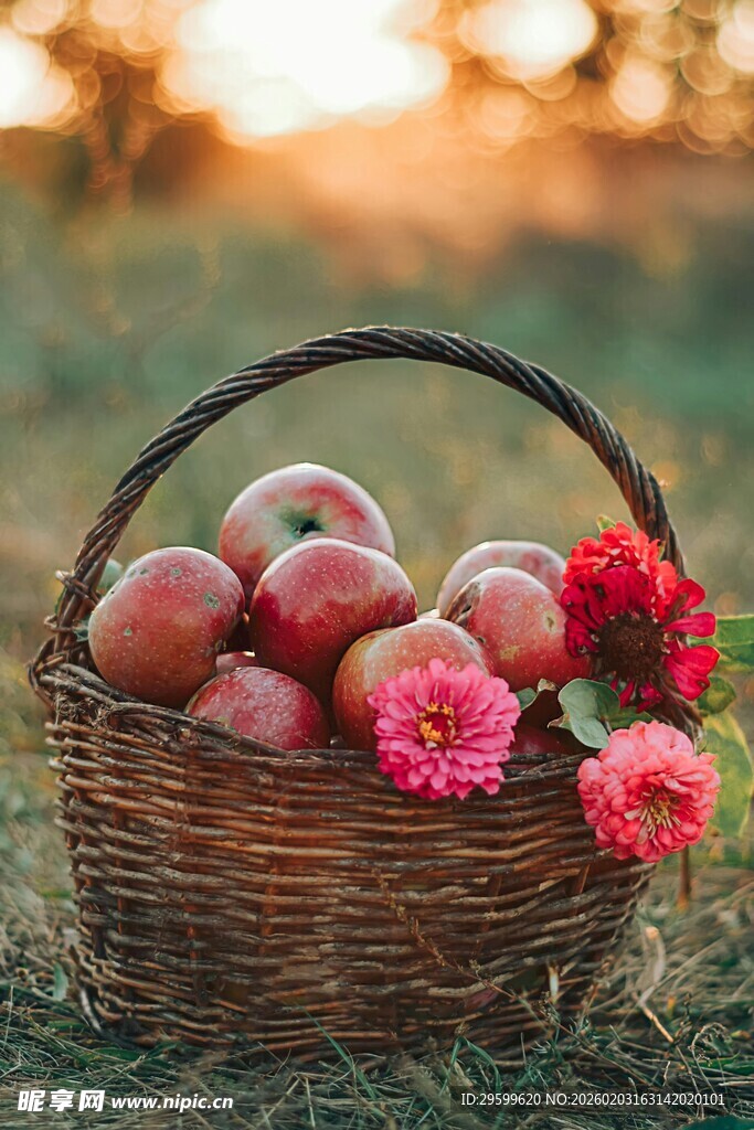 草地上的果篮与鲜花