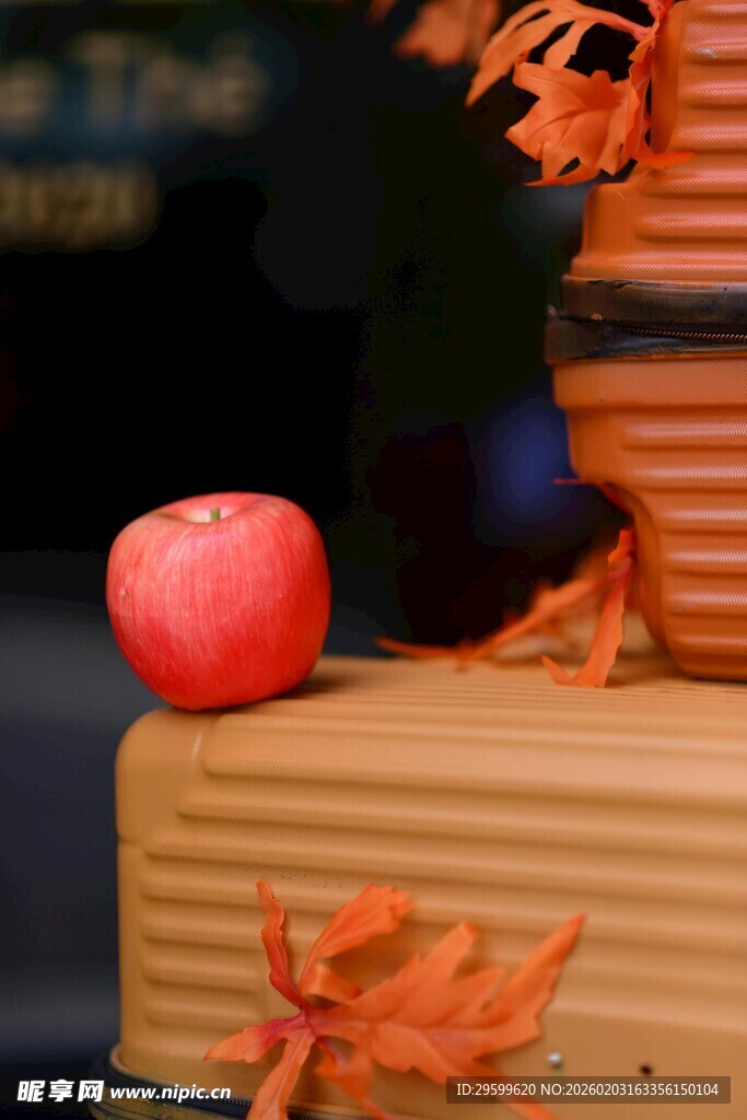 红果秋叶装点精美物件