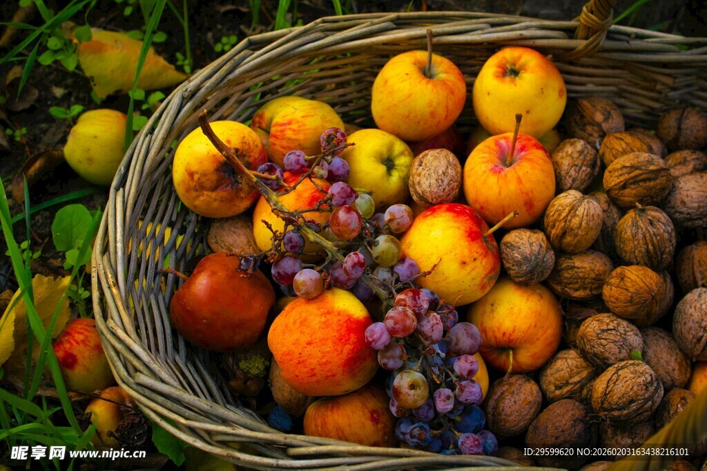 秋日果篮 