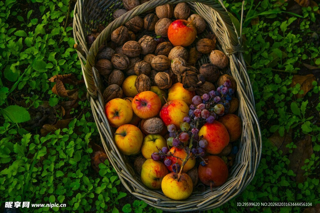 田园风果篮装满多彩果实
