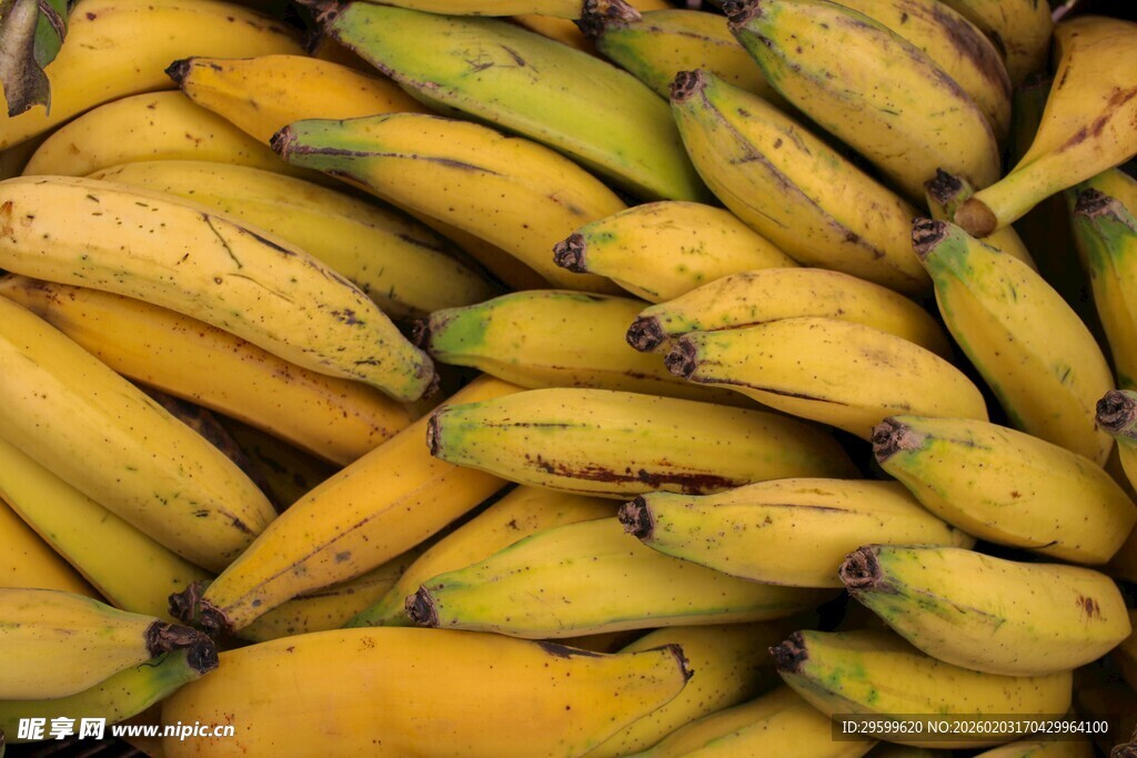 一堆成熟的黄色香蕉