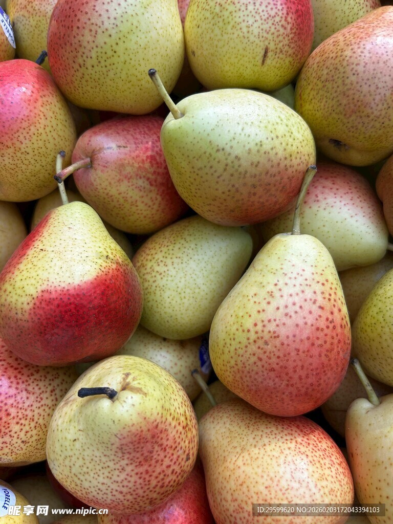 新鲜多彩梨子堆叠