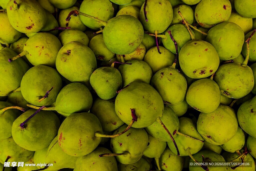 一堆鲜绿的梨子