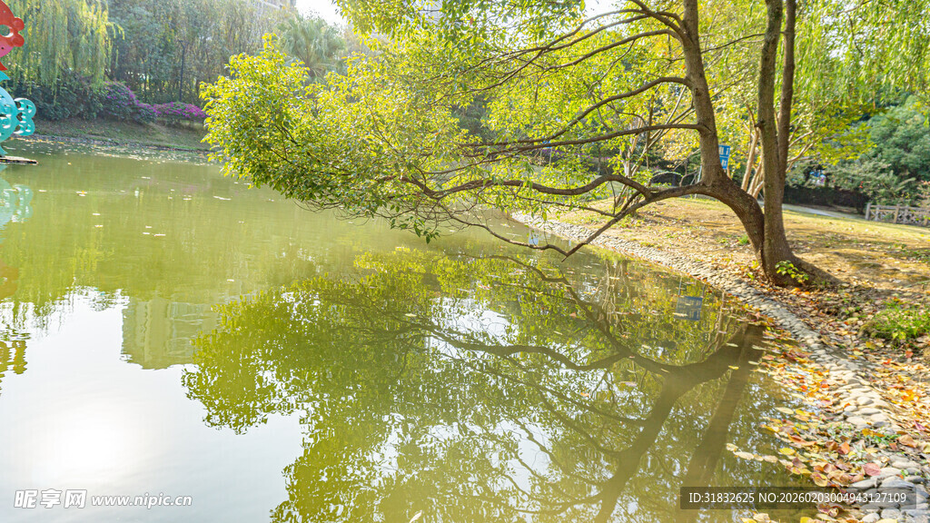 湖畔绿树倒映的静谧风光