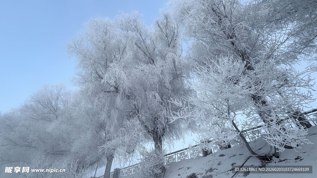 冬日雾凇美景
