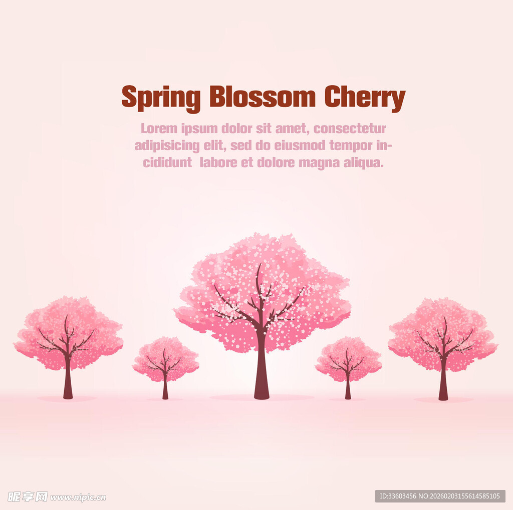 樱花绽放的春日美景