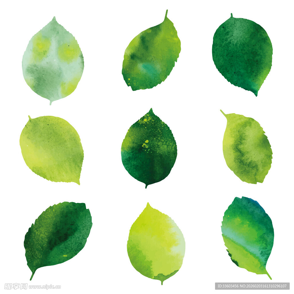 水彩绘绿色叶片集合