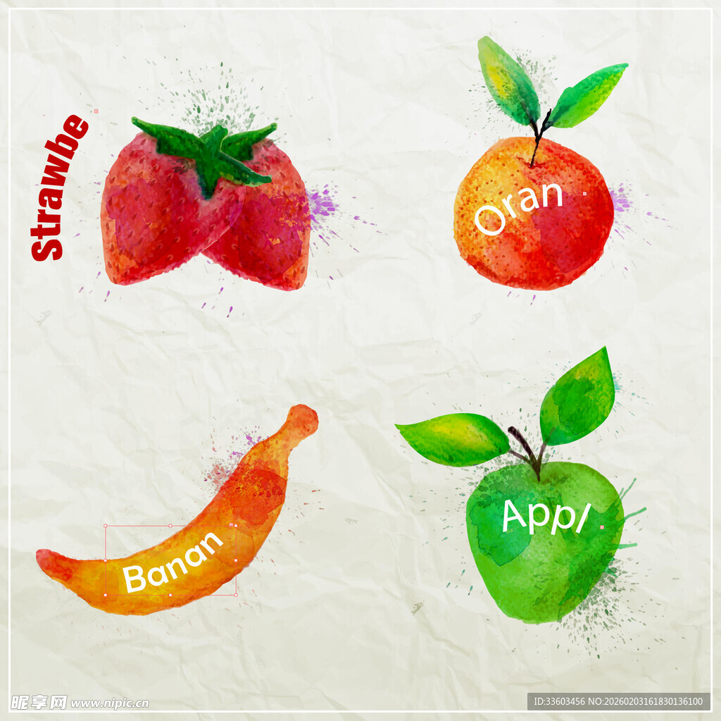 手绘水果插画