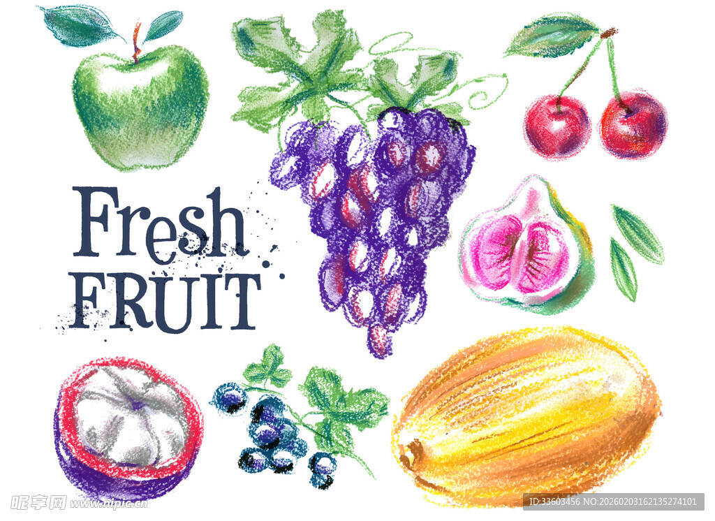 手绘新鲜水果插画