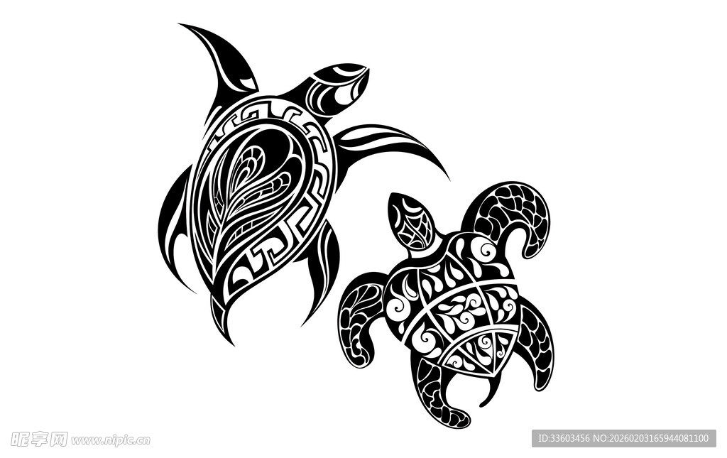 黑白海龟插画图案