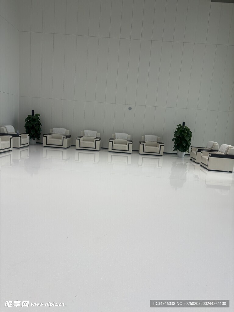 室内白色空间与绿植摆件