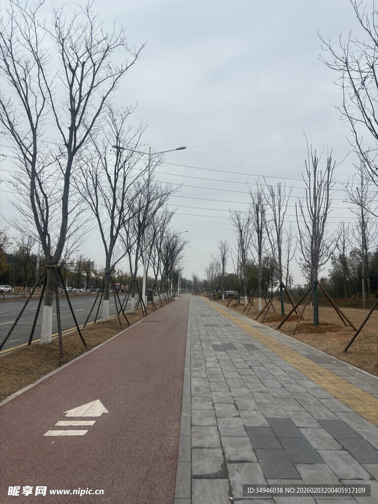 空旷道路上的白色箭头标识