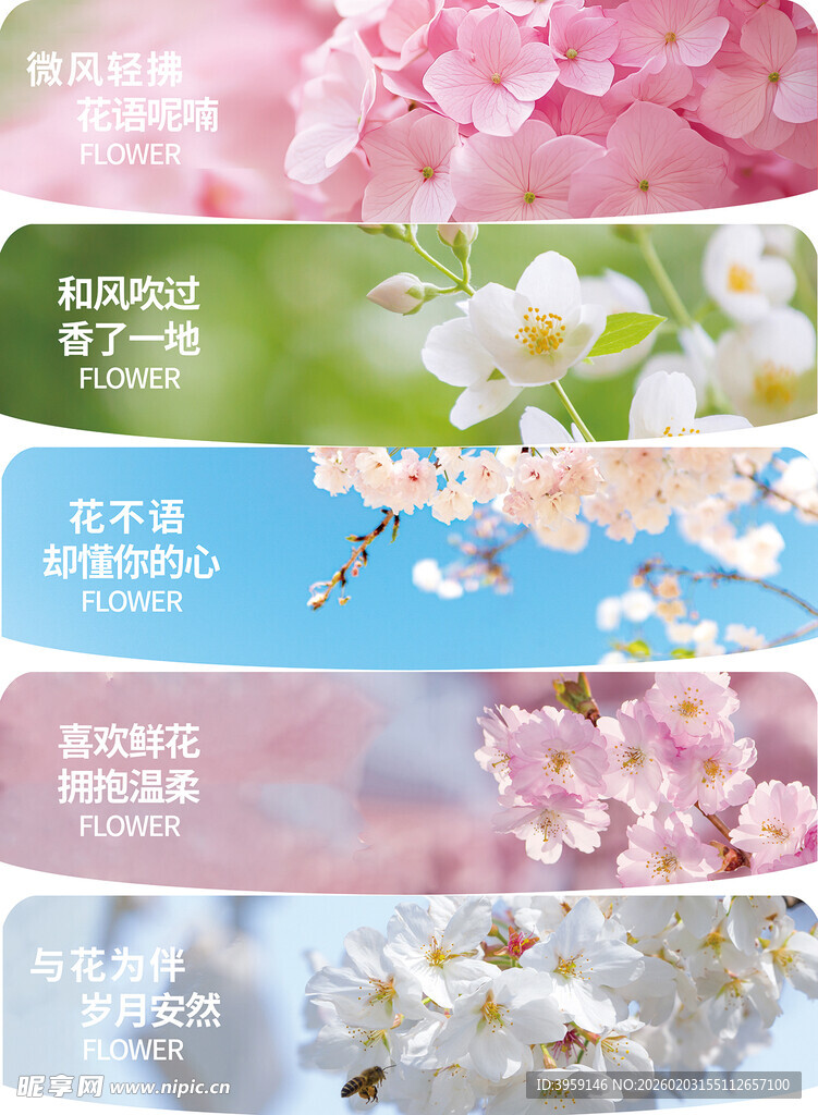 花语