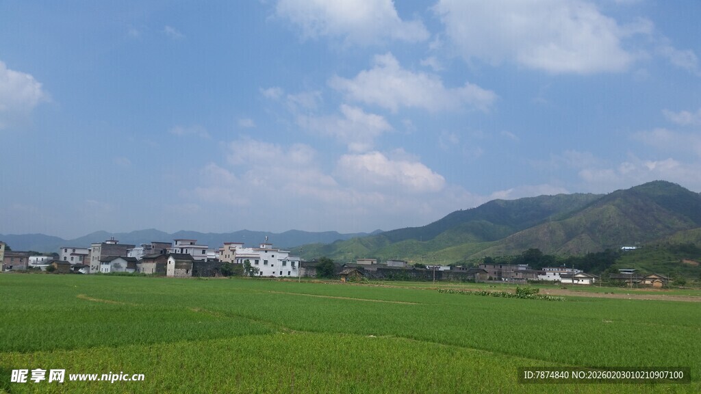 田园风光 绿野与远山