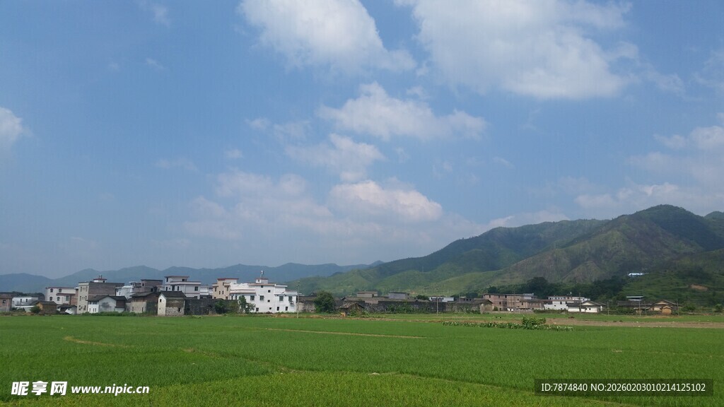 田园风光 绿野与远山