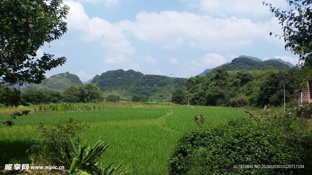 田园绿野风光