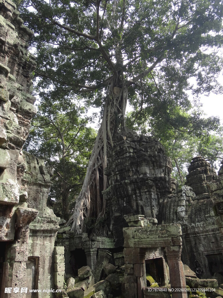 塔布笼寺 古树缠绕的古老建筑