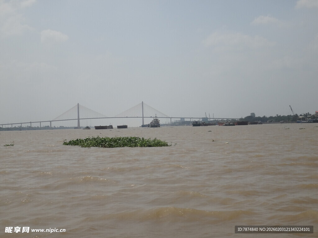 越南浑浊江面与远处输电设施