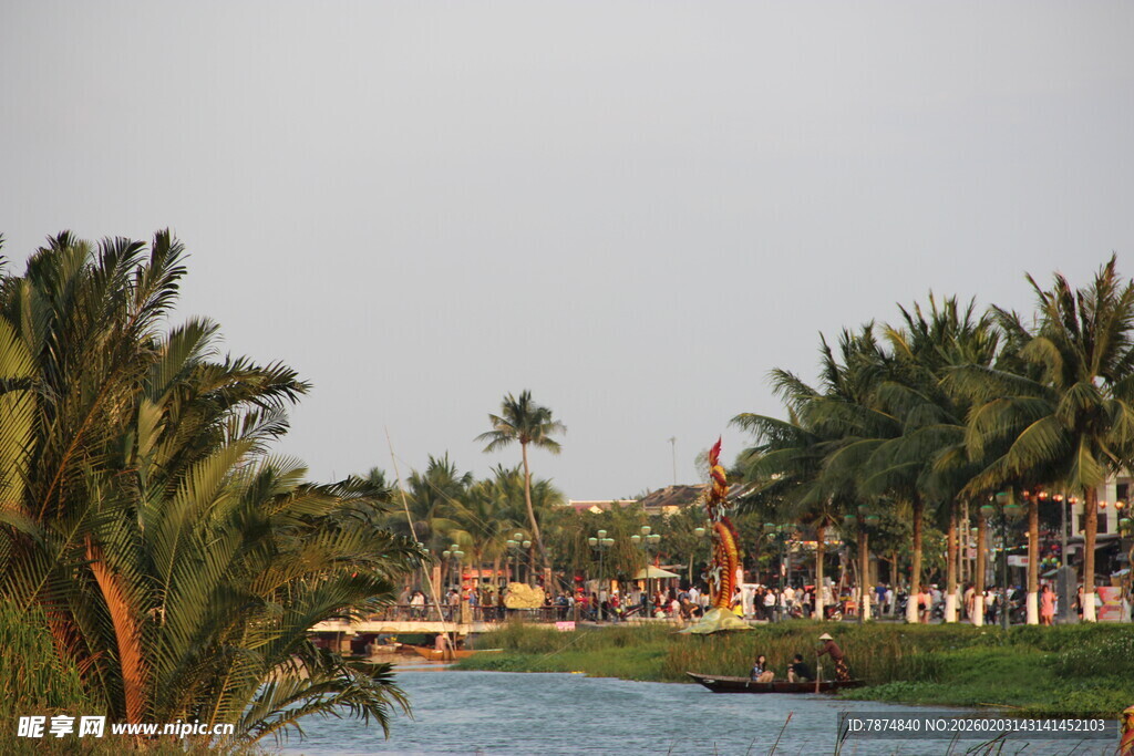 热带河畔风光美景