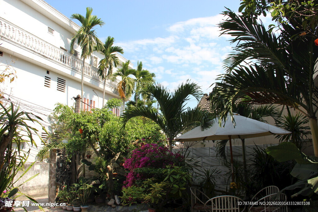 庭院绿植景观 清新自然