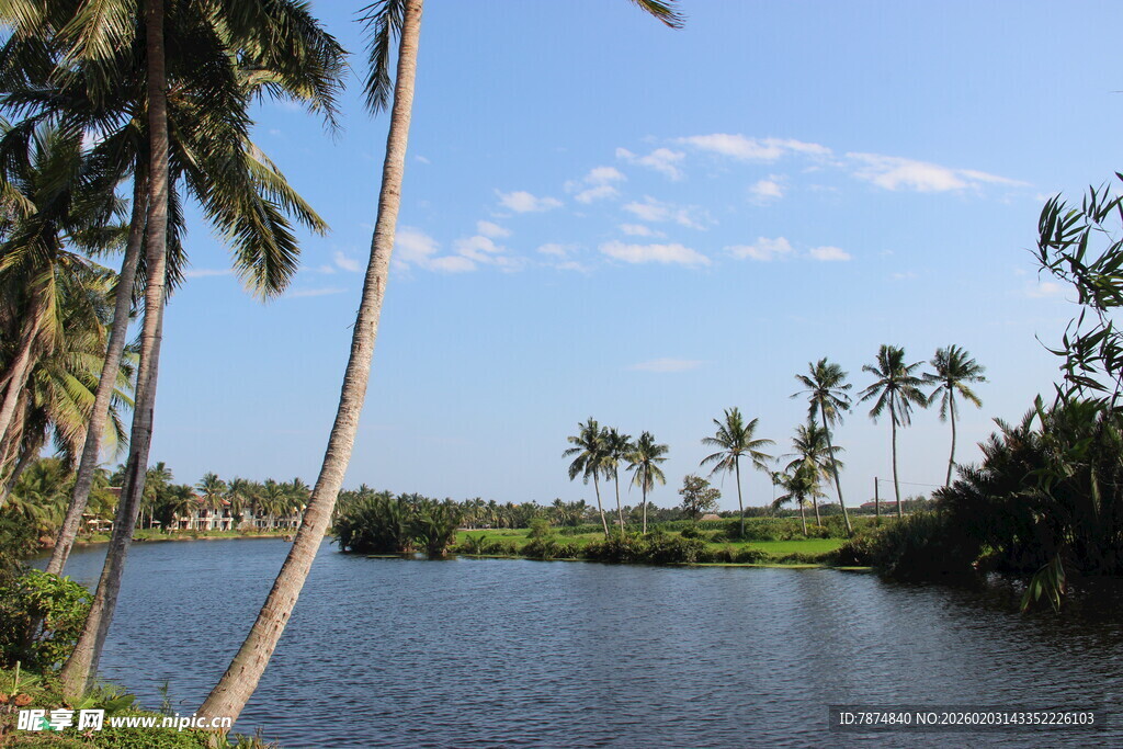 热带河畔风光