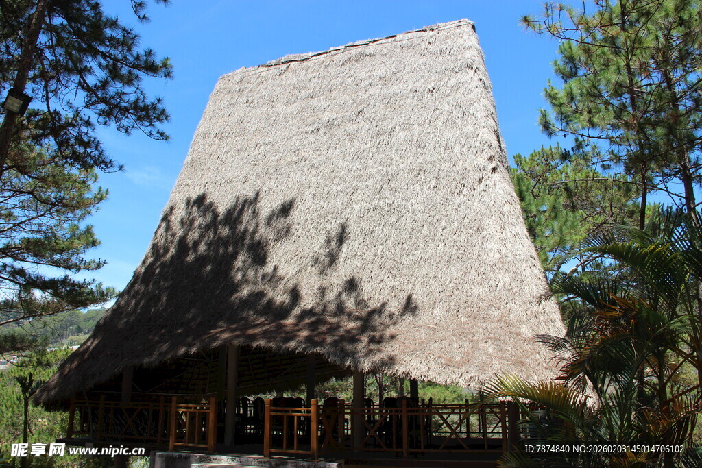 越南传统茅草屋 自然中的建筑
