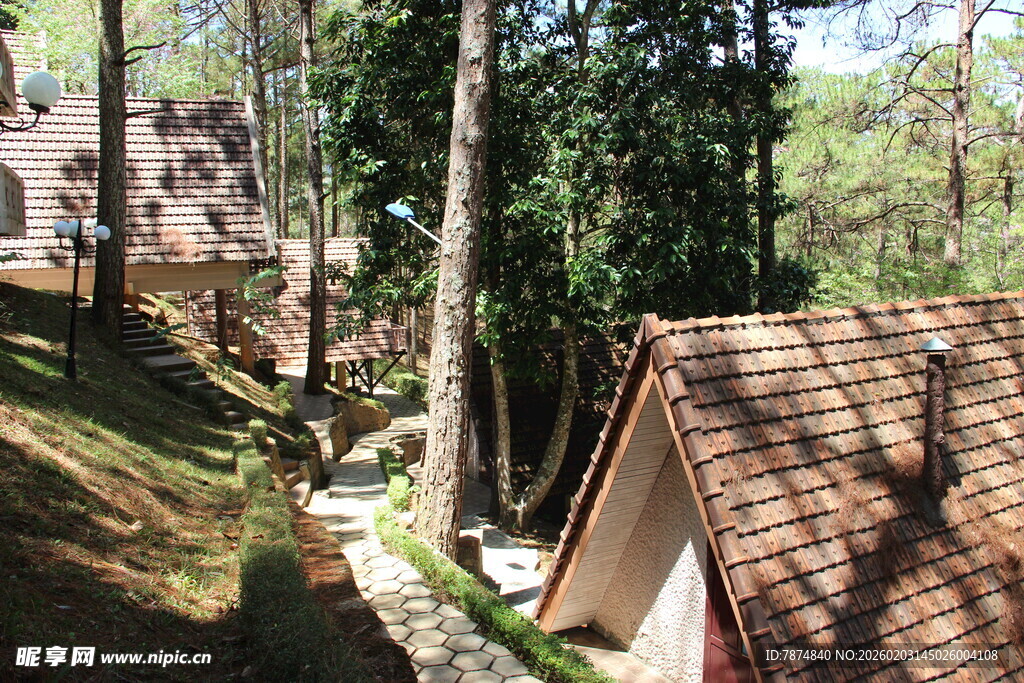 越南林间小屋 静谧自然景致